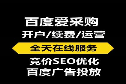 百度竞价代运营公司成功案例解析